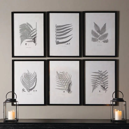 FRAMED GRAY-TONE FERN PRINTS, SET OF 6 - view 3