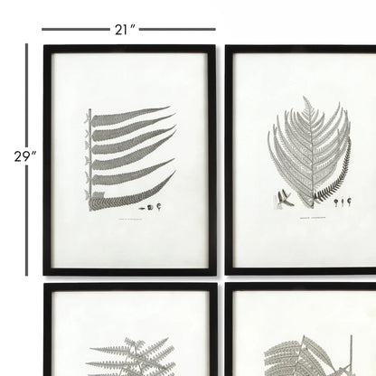 FRAMED GRAY-TONE FERN PRINTS, SET OF 6 - view 2