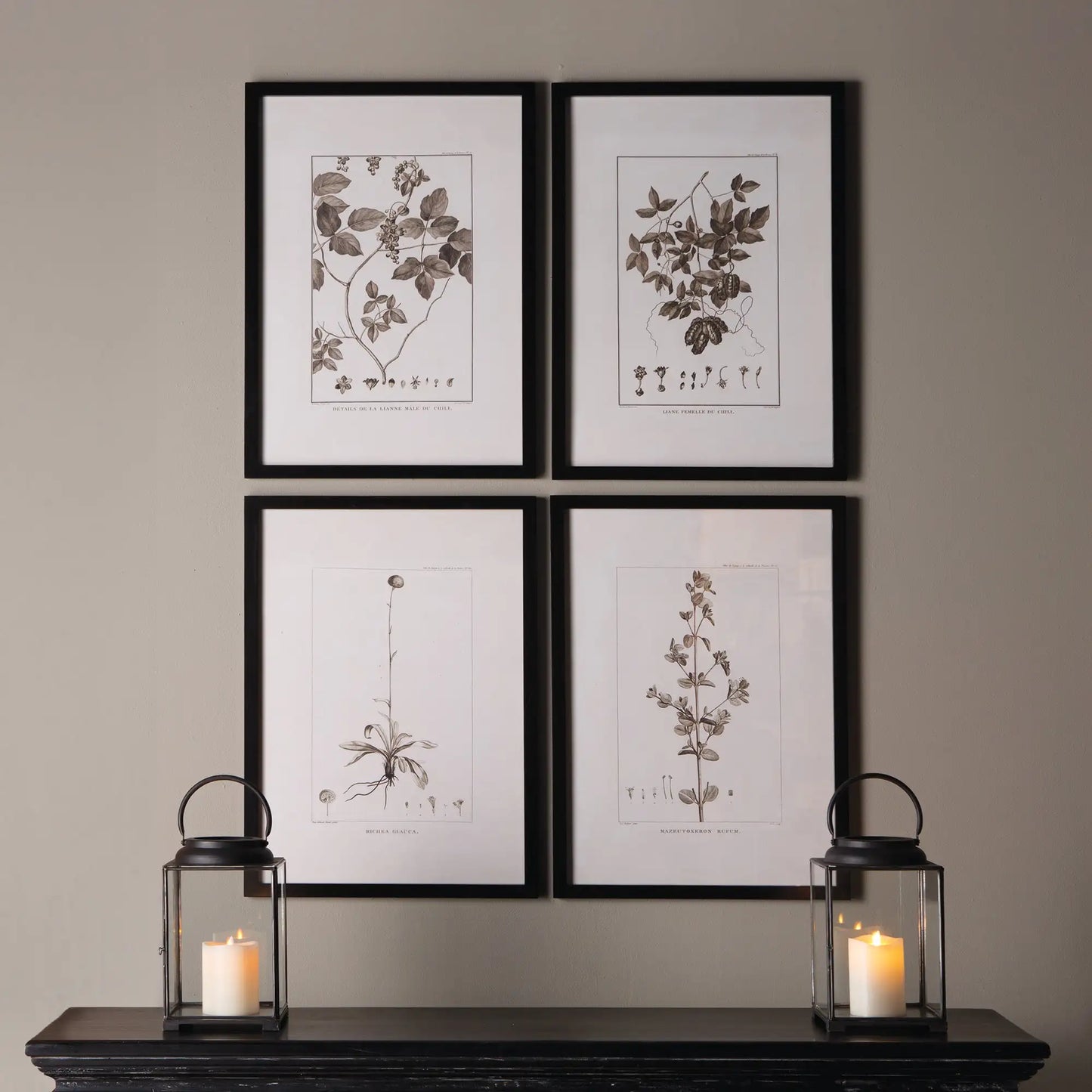 FRAMED SEPIA-TONE BOTANICAL PRINTS, SET OF 4 - view 3