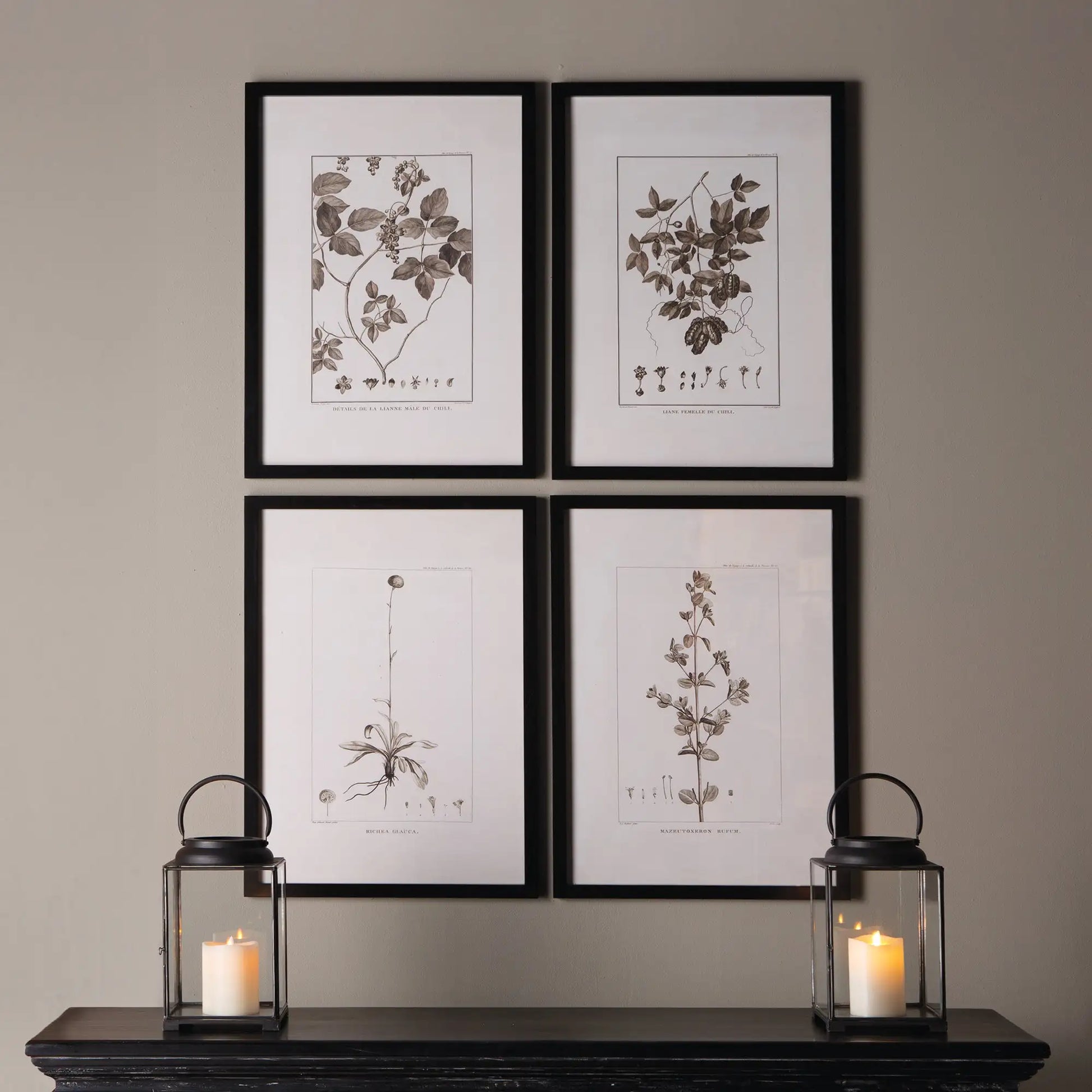 FRAMED SEPIA-TONE BOTANICAL PRINTS, SET OF 4 - view 3