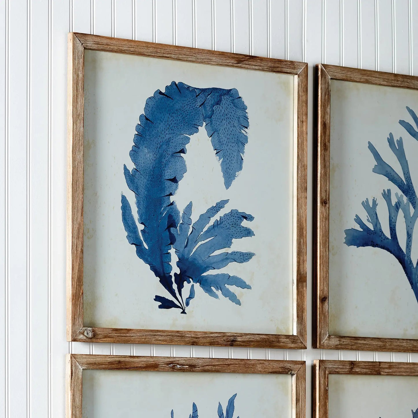 FRAMED CORAL WATERCOLOR PRINTS, SET OF 4 - view 4