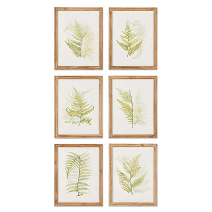 FRAMED FERN STUDY, SET OF 6