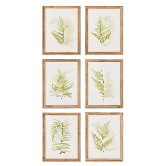 FRAMED FERN STUDY, SET OF 6