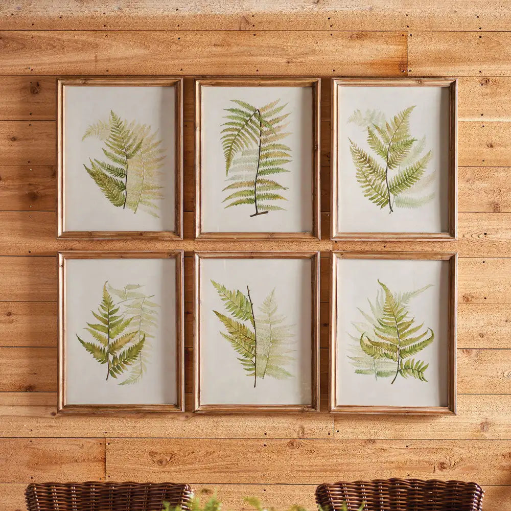 FRAMED FERN STUDY, SET OF 6 - view 3