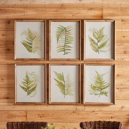 FRAMED FERN STUDY, SET OF 6 - view 3