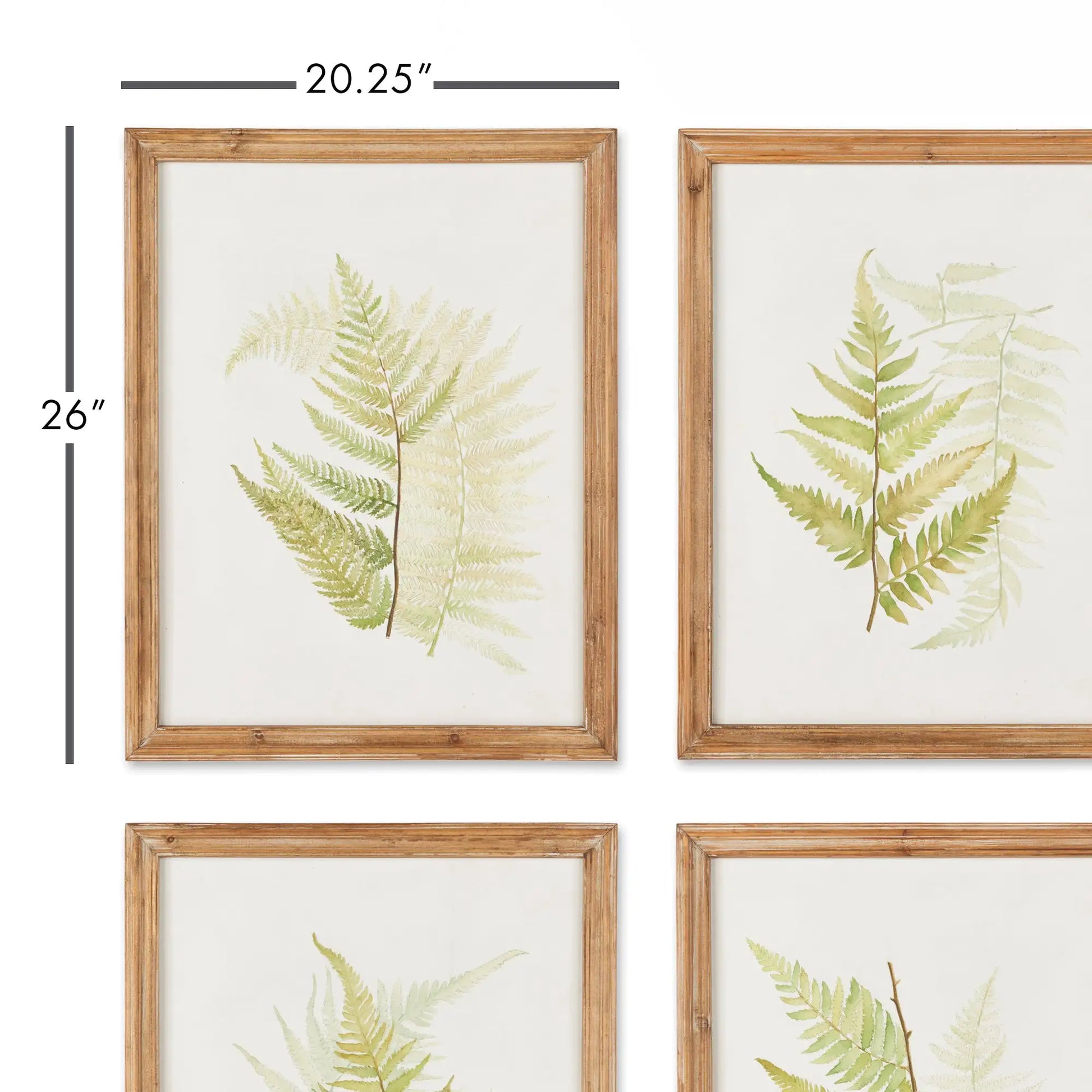 FRAMED FERN STUDY, SET OF 6 - view 2