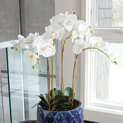 PHALAENOPSIS ORCHID BOWL DROP-IN 25" - view 2