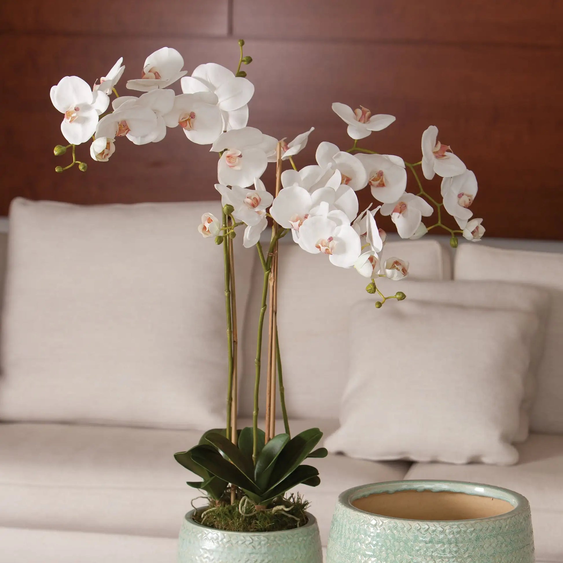 PHALAENOPSIS ORCHID DROP-IN 31" - view 2