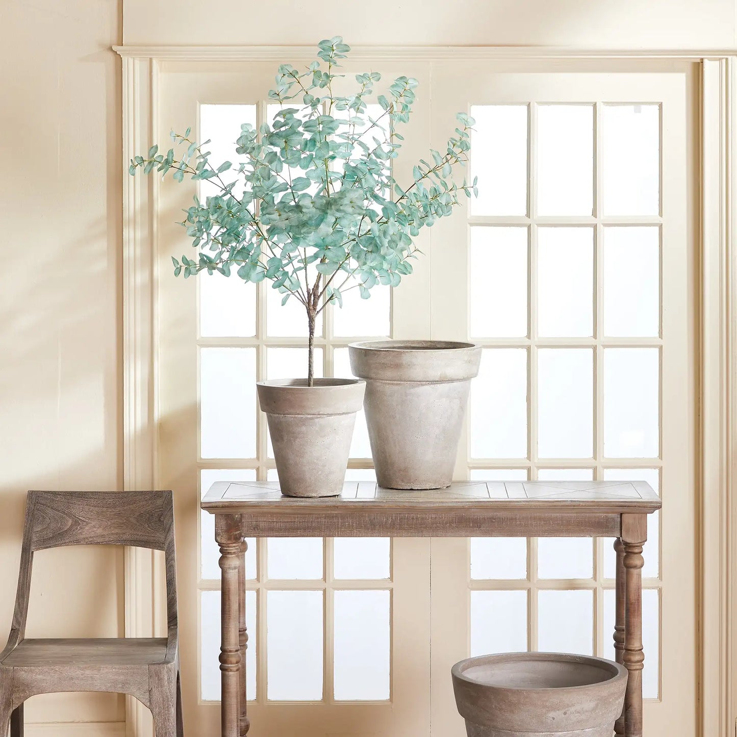 EUCALYPTUS TREE DROP-IN 49" - view 2
