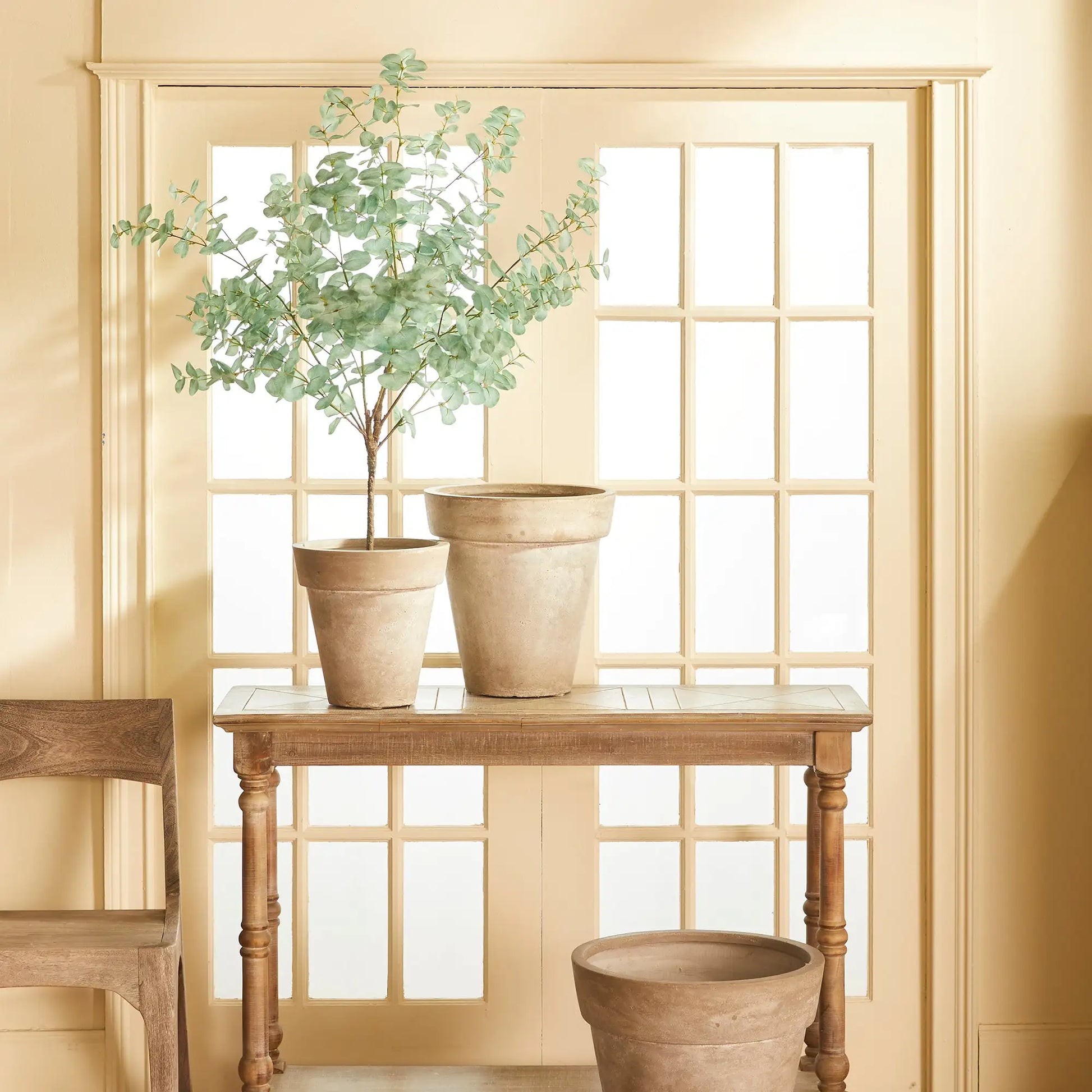 EUCALYPTUS TREE DROP-IN 49" - view 3