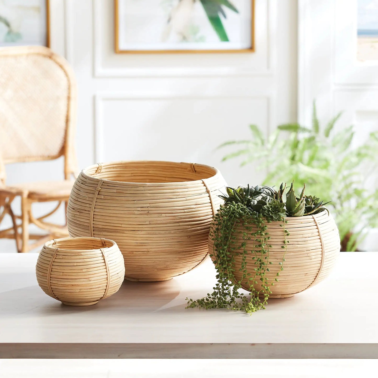 CANE RATTAN PLANT BASKETS, SET OF 3 - view 2