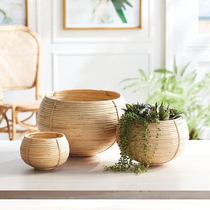 CANE RATTAN PLANT BASKETS, SET OF 3 - view 2