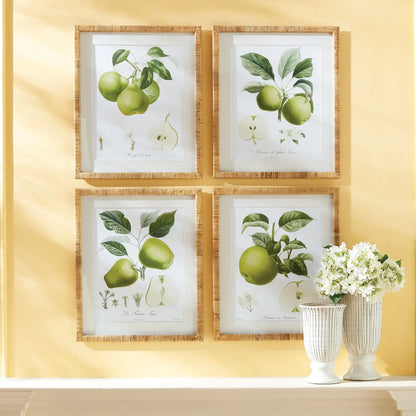 FRUIT STUDY, SET OF 4 - view 3