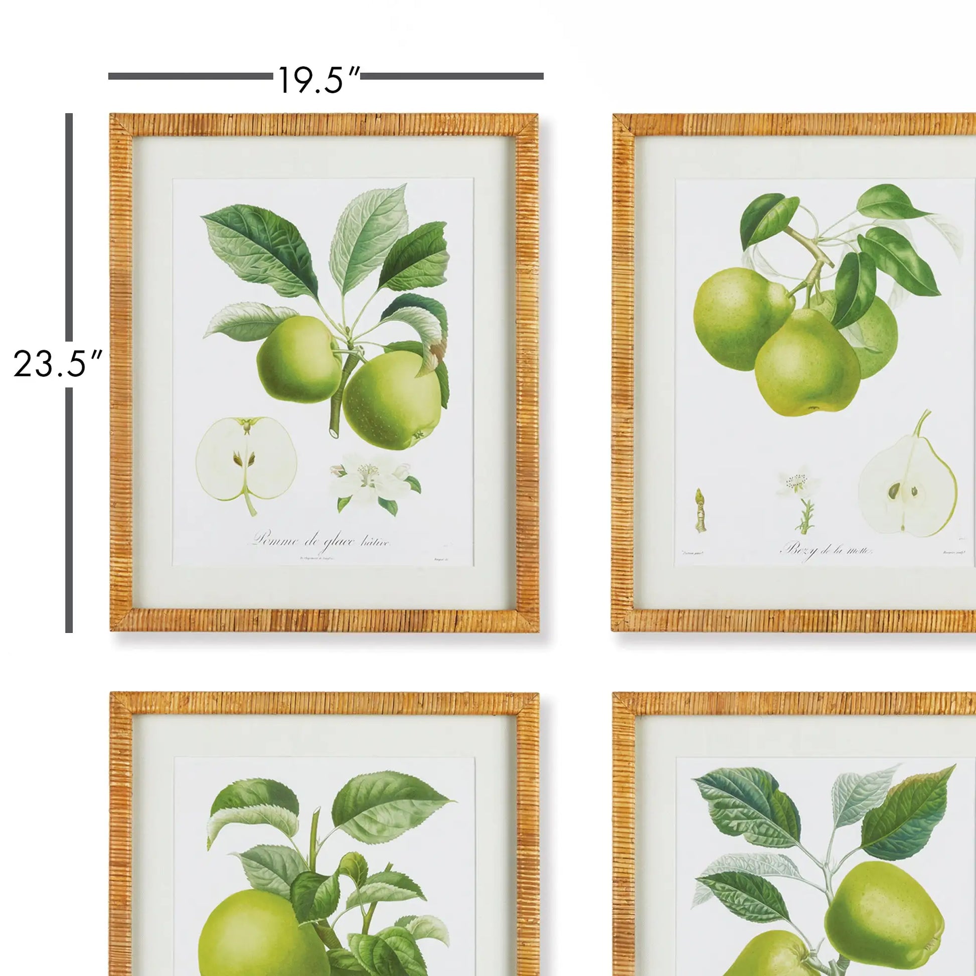 FRUIT STUDY, SET OF 4 - view 2