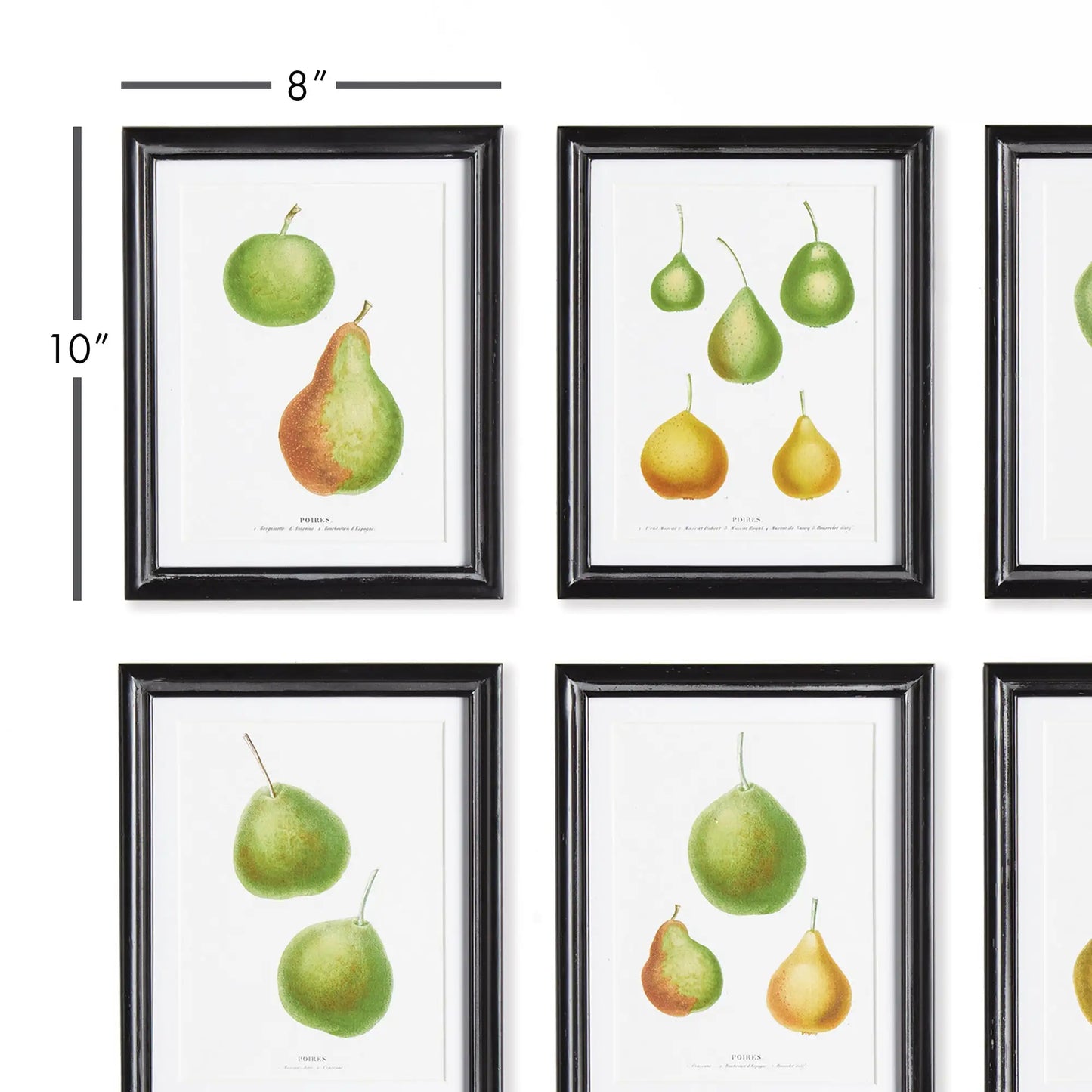 PEAR STUDY, SET OF 6 - view 2