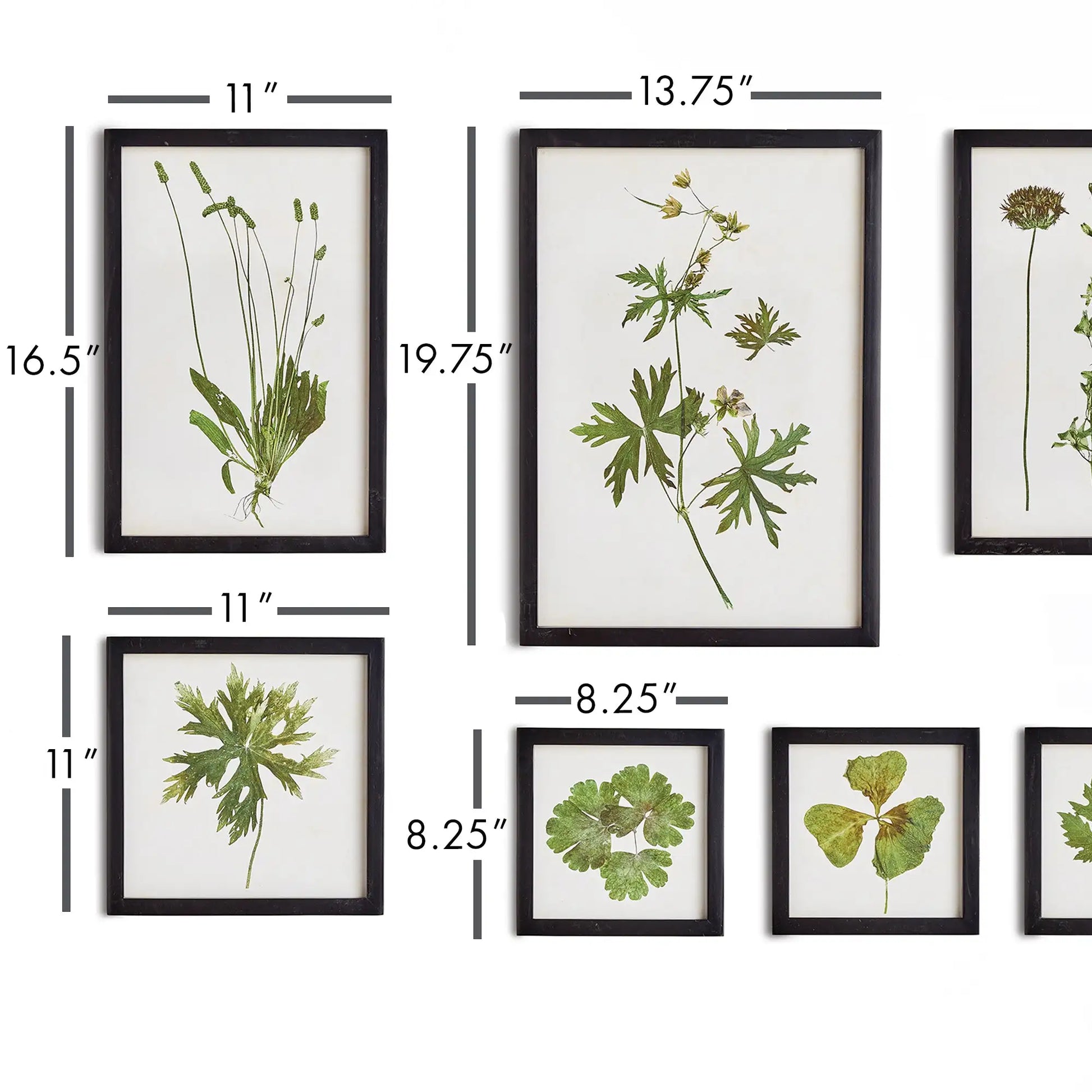 FOLIAGE PRINTS, SET OF 9 - view 2