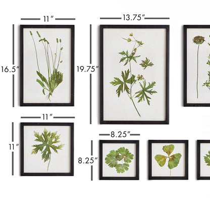 FOLIAGE PRINTS, SET OF 9 - view 2