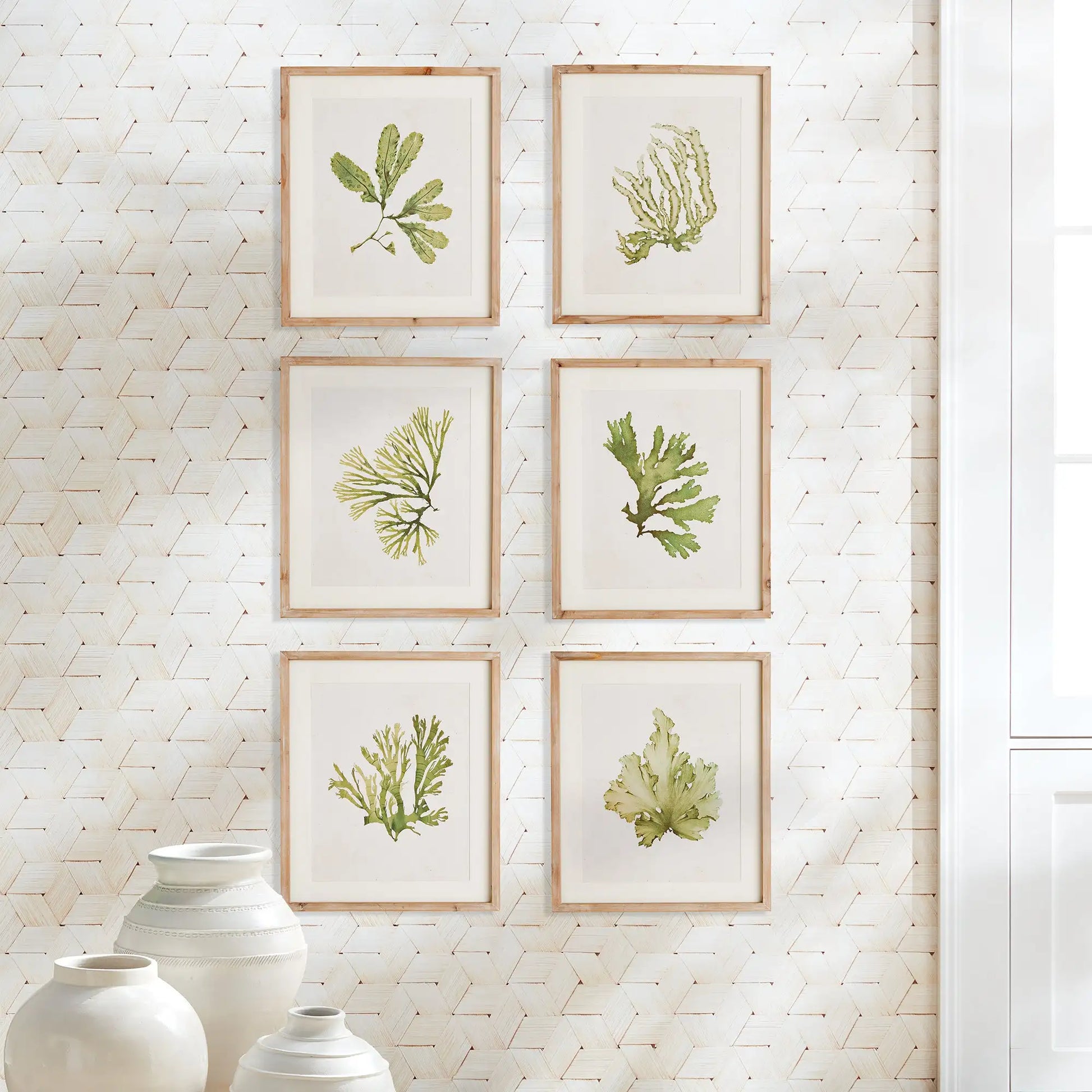 KELP PRINTS, SET OF 6 - view 3