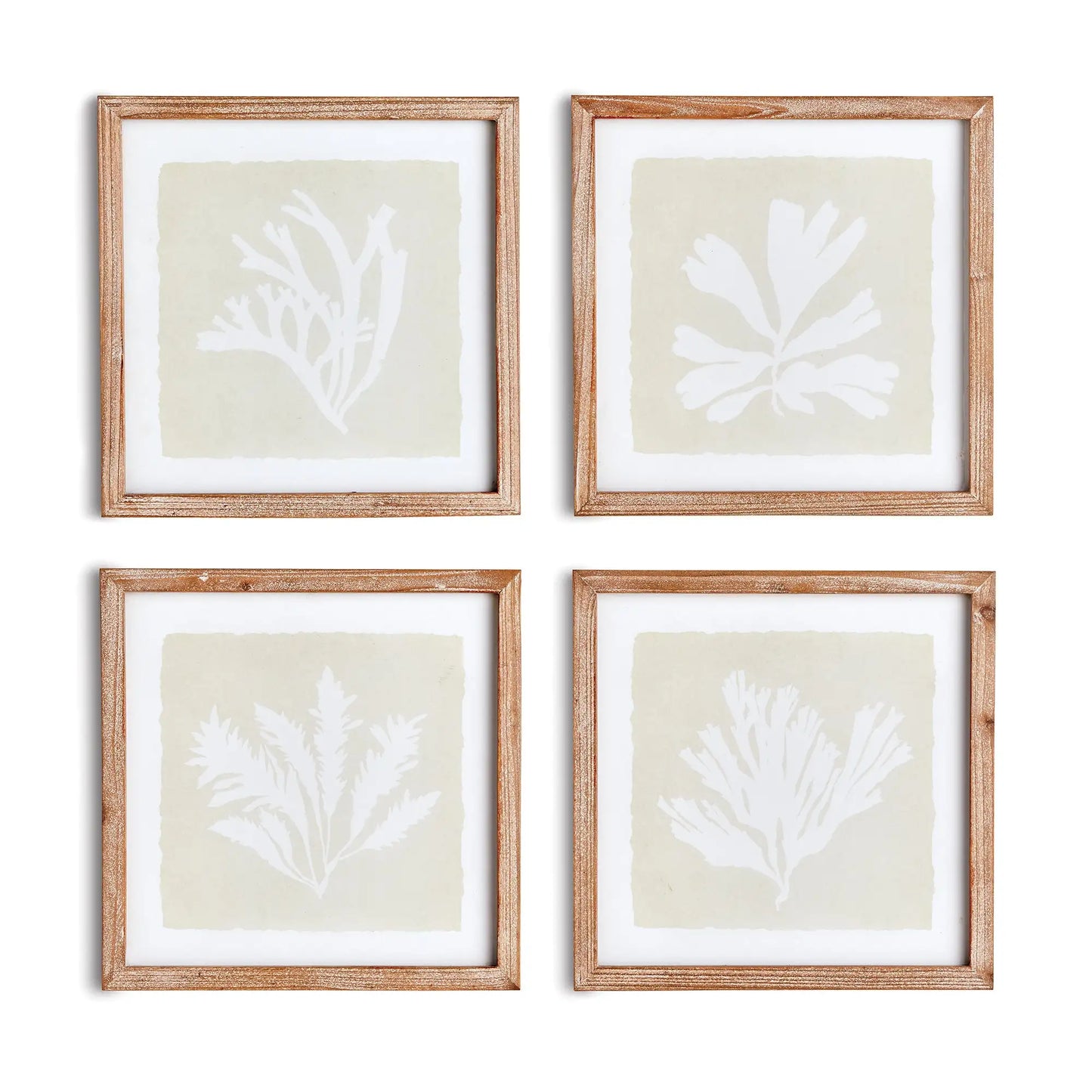 SEAWEED PETITE PRINTS, SET OF 4