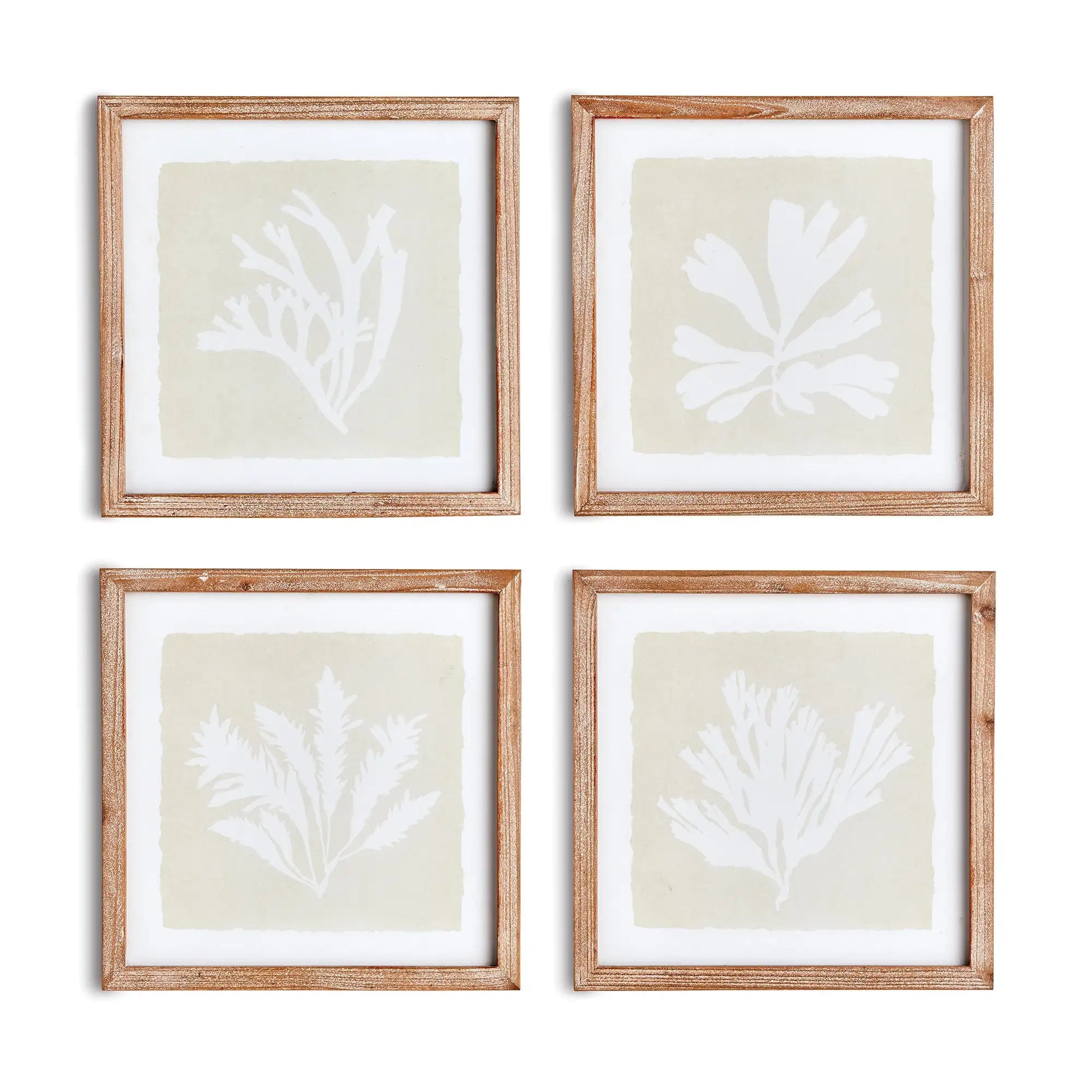 SEAWEED PETITE PRINTS, SET OF 4