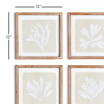 SEAWEED PETITE PRINTS, SET OF 4 - view 2
