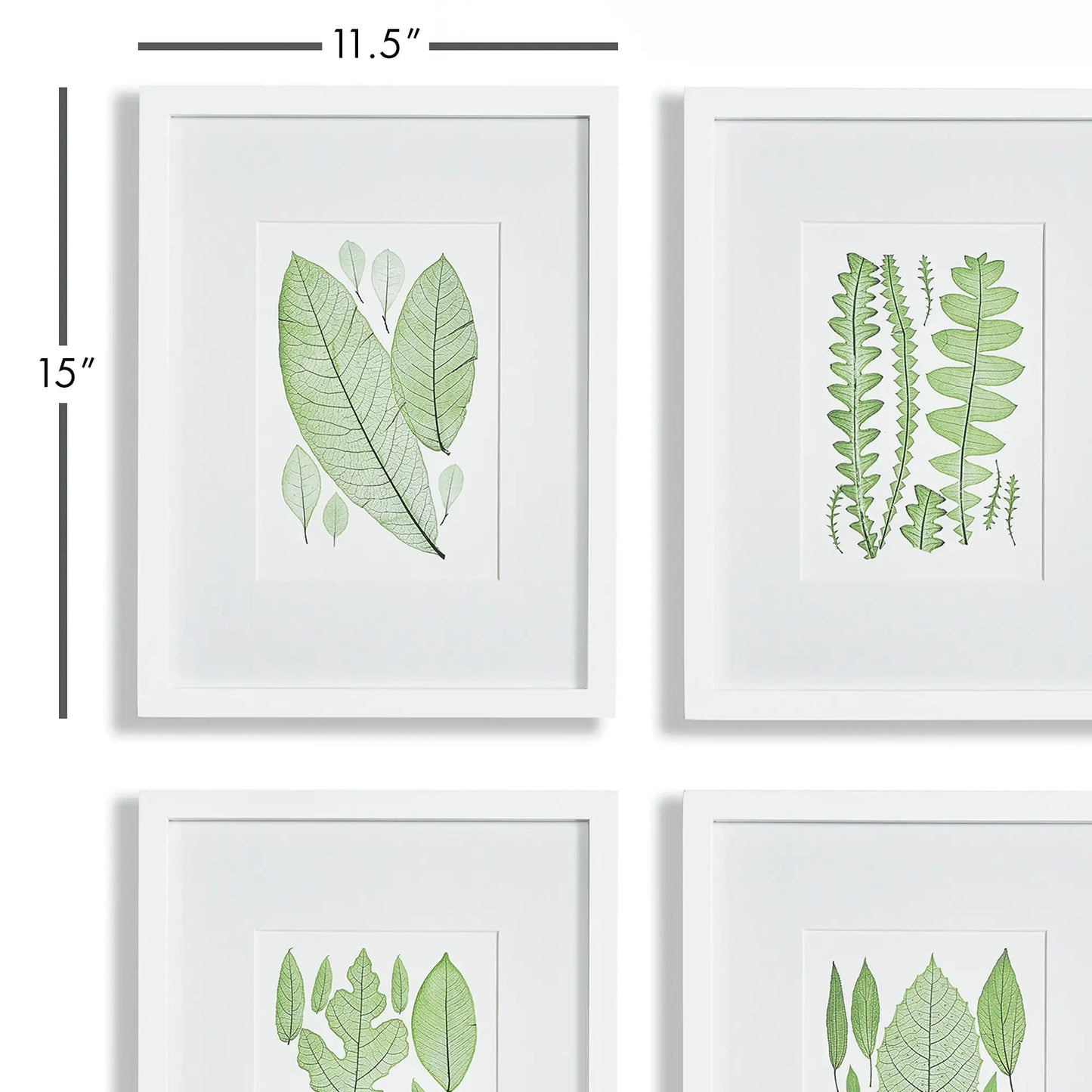 ASSORTED LEAF PRINTS, SET OF 4 - view 2