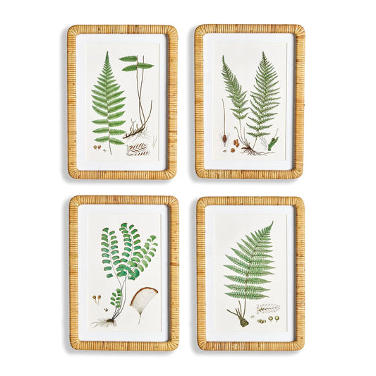 FOREST FERN PRINTS, SET OF 4