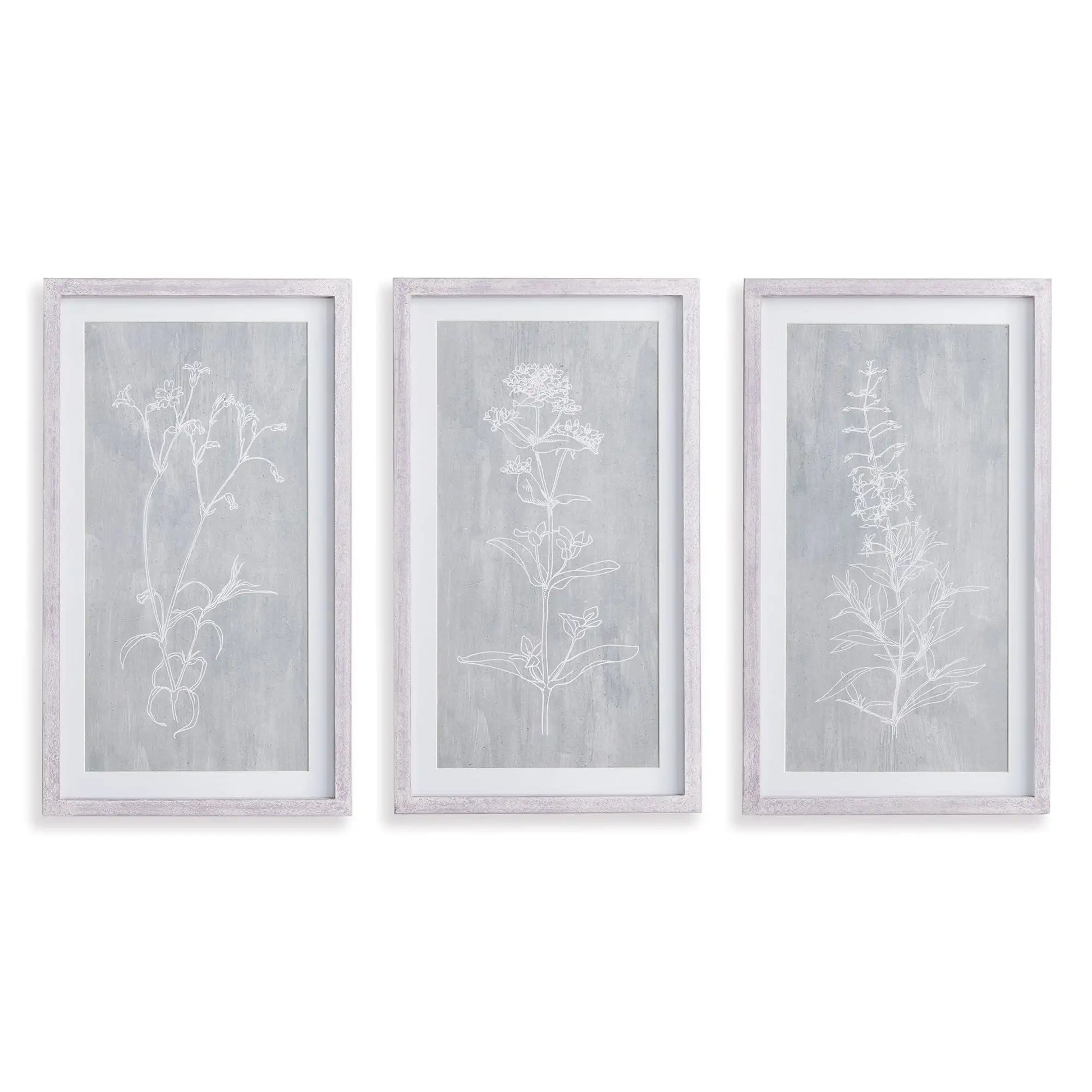 SKETCHED BOTANICAL PRINTS, SET OF 3