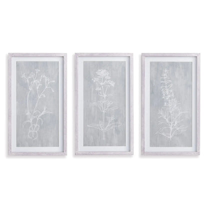SKETCHED BOTANICAL PRINTS, SET OF 3