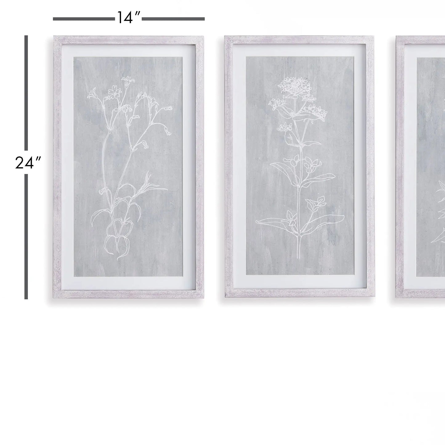 SKETCHED BOTANICAL PRINTS, SET OF 3 - view 2