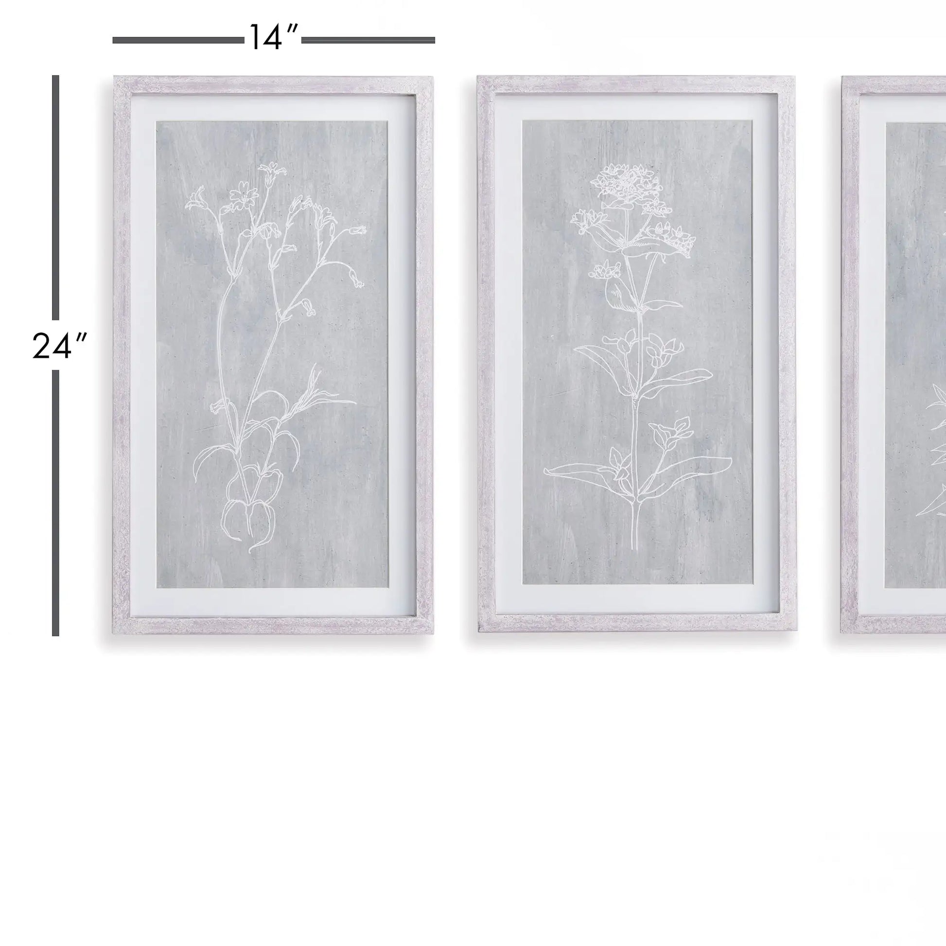 SKETCHED BOTANICAL PRINTS, SET OF 3 - view 2