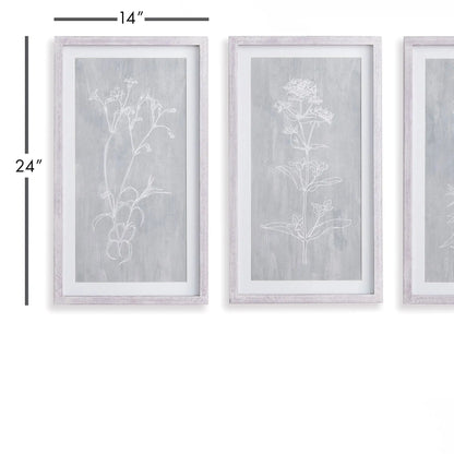 SKETCHED BOTANICAL PRINTS, SET OF 3 - view 2