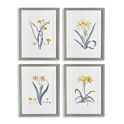 DAFFODIL PRINTS, SET OF 4
