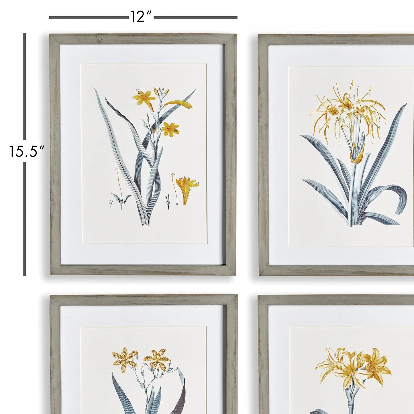 DAFFODIL PRINTS, SET OF 4 - view 2