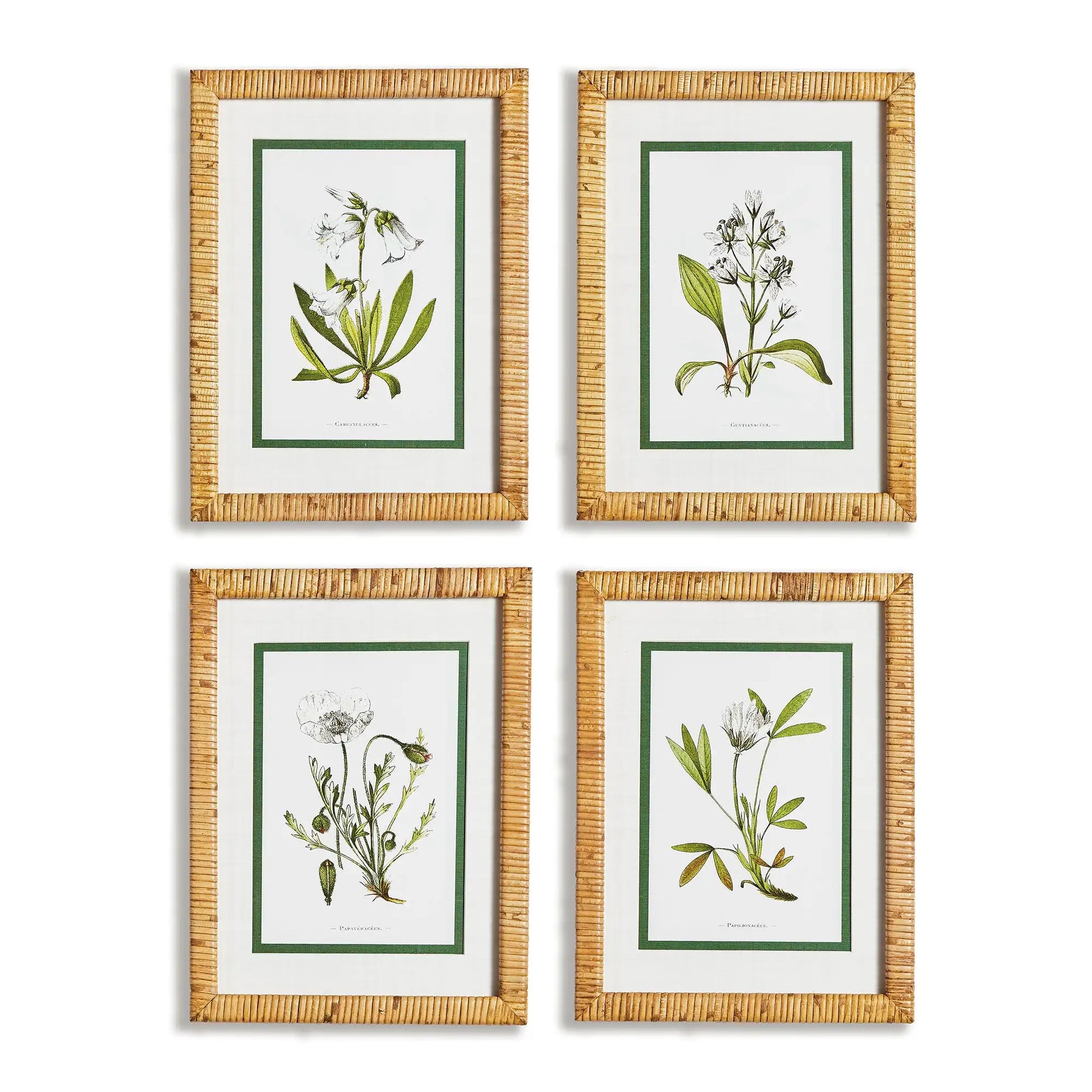 WHITE FLORAL STUDY, SET OF 4