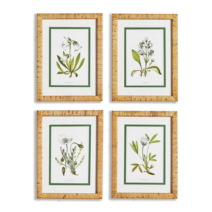 WHITE FLORAL STUDY, SET OF 4
