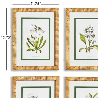 WHITE FLORAL STUDY, SET OF 4 - view 2
