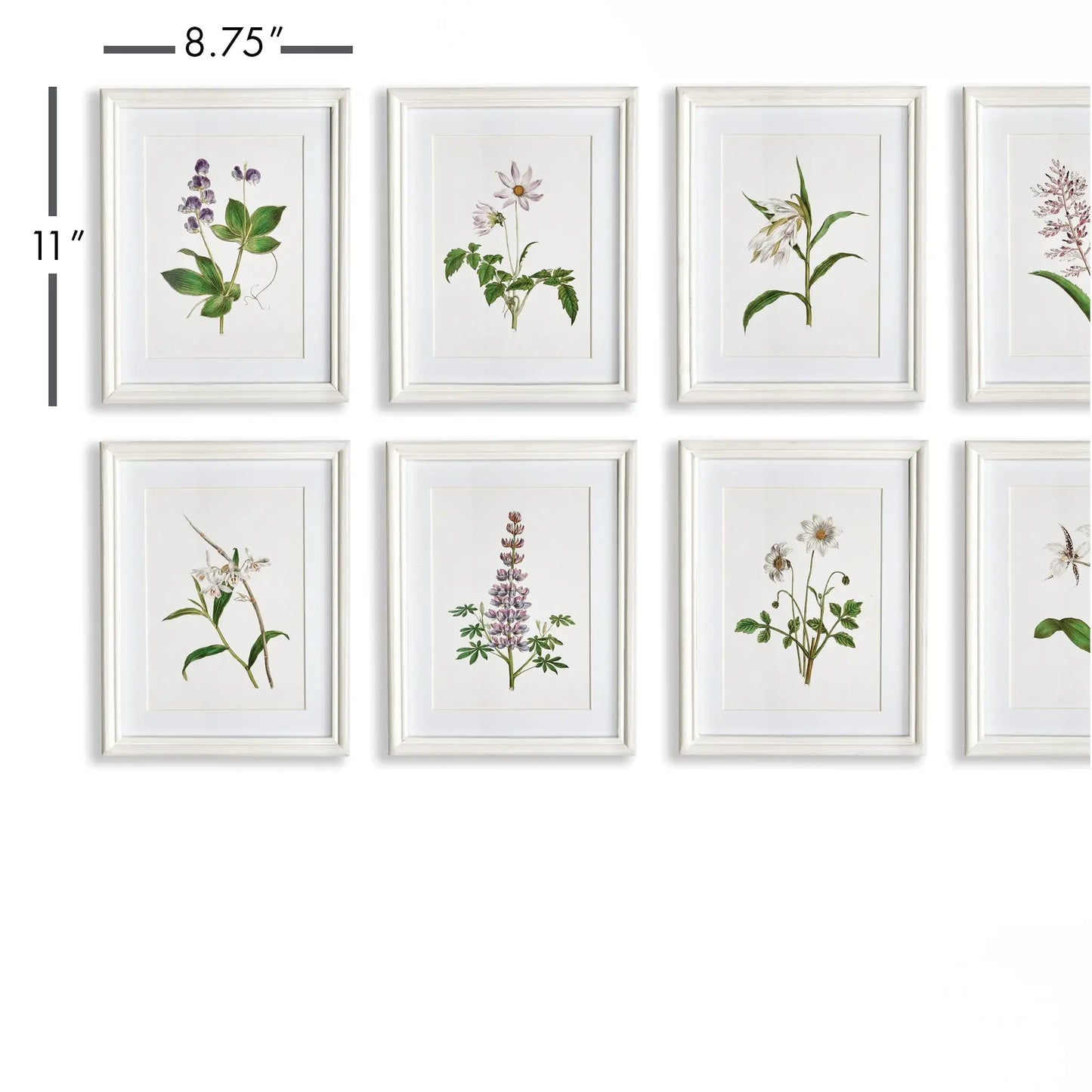 FLOWERS IN BLOOM PETITE PRINTS, SET OF 8 - view 2