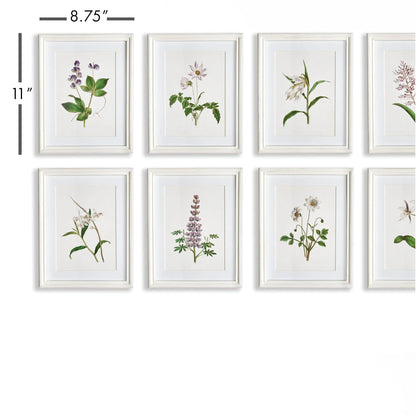 FLOWERS IN BLOOM PETITE PRINTS, SET OF 8 - view 2