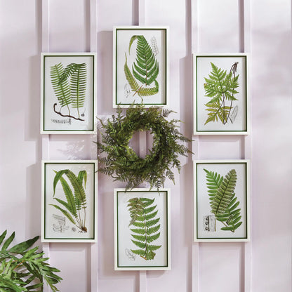 FERN WREATH 18" - view 2