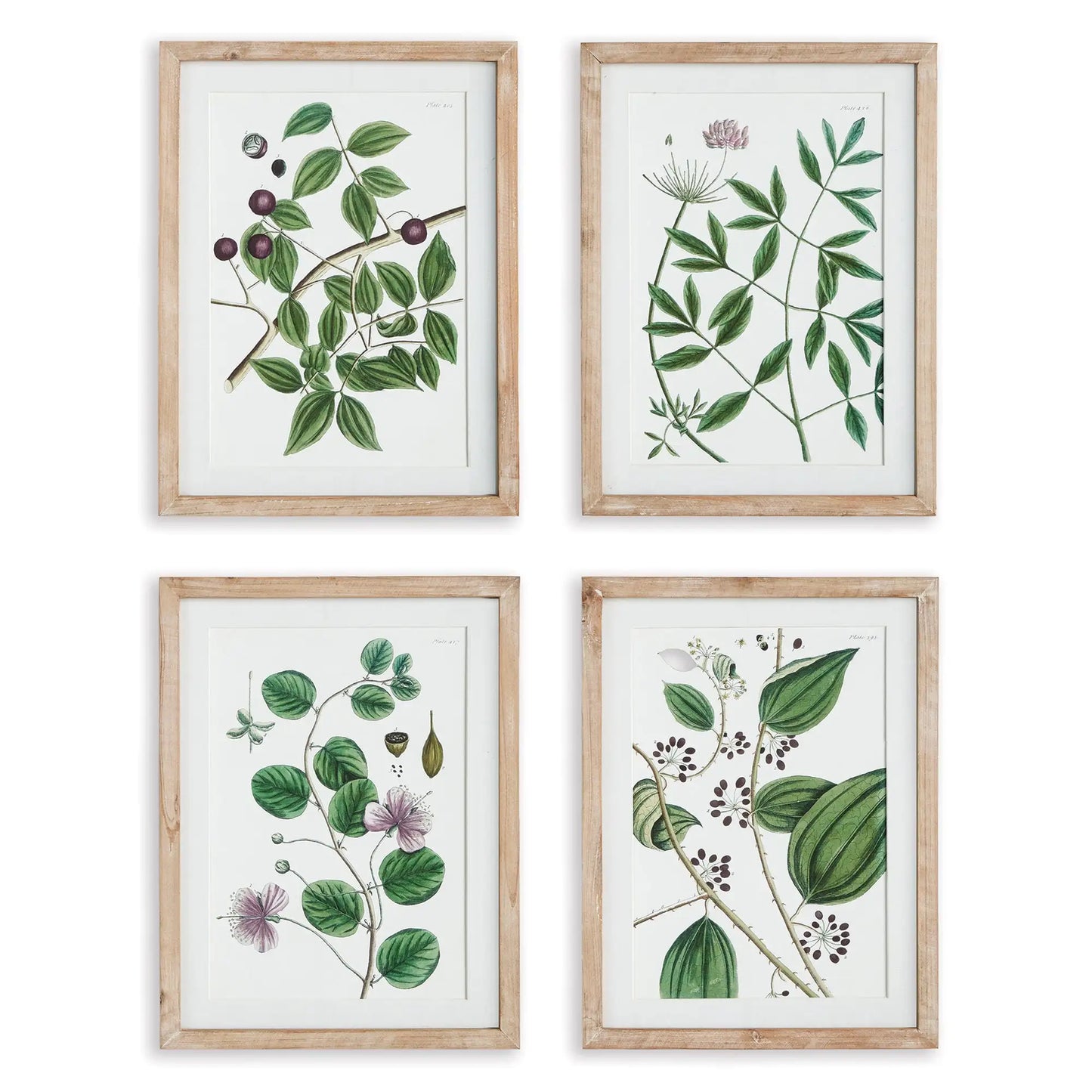 VERDANT BRANCH PRINTS, SET OF 4
