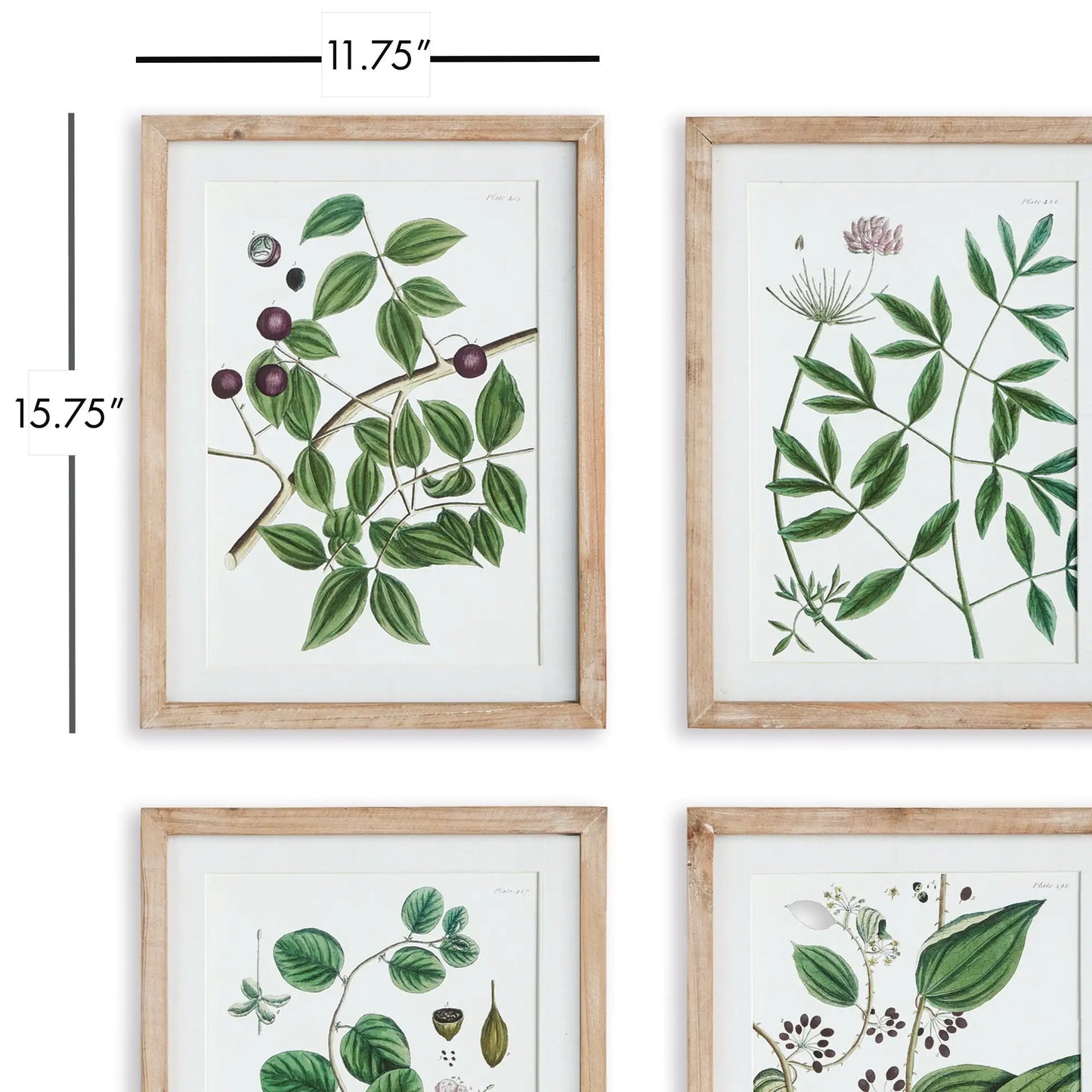 VERDANT BRANCH PRINTS, SET OF 4 - view 2