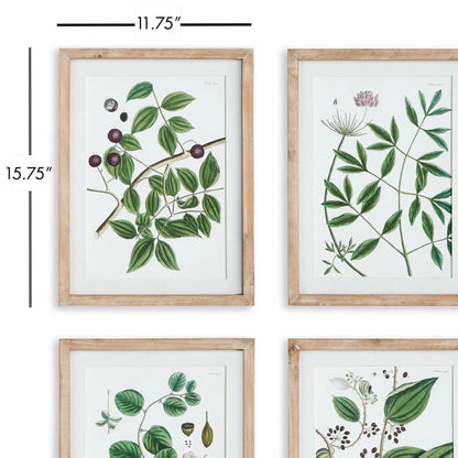 VERDANT BRANCH PRINTS, SET OF 4 - view 2