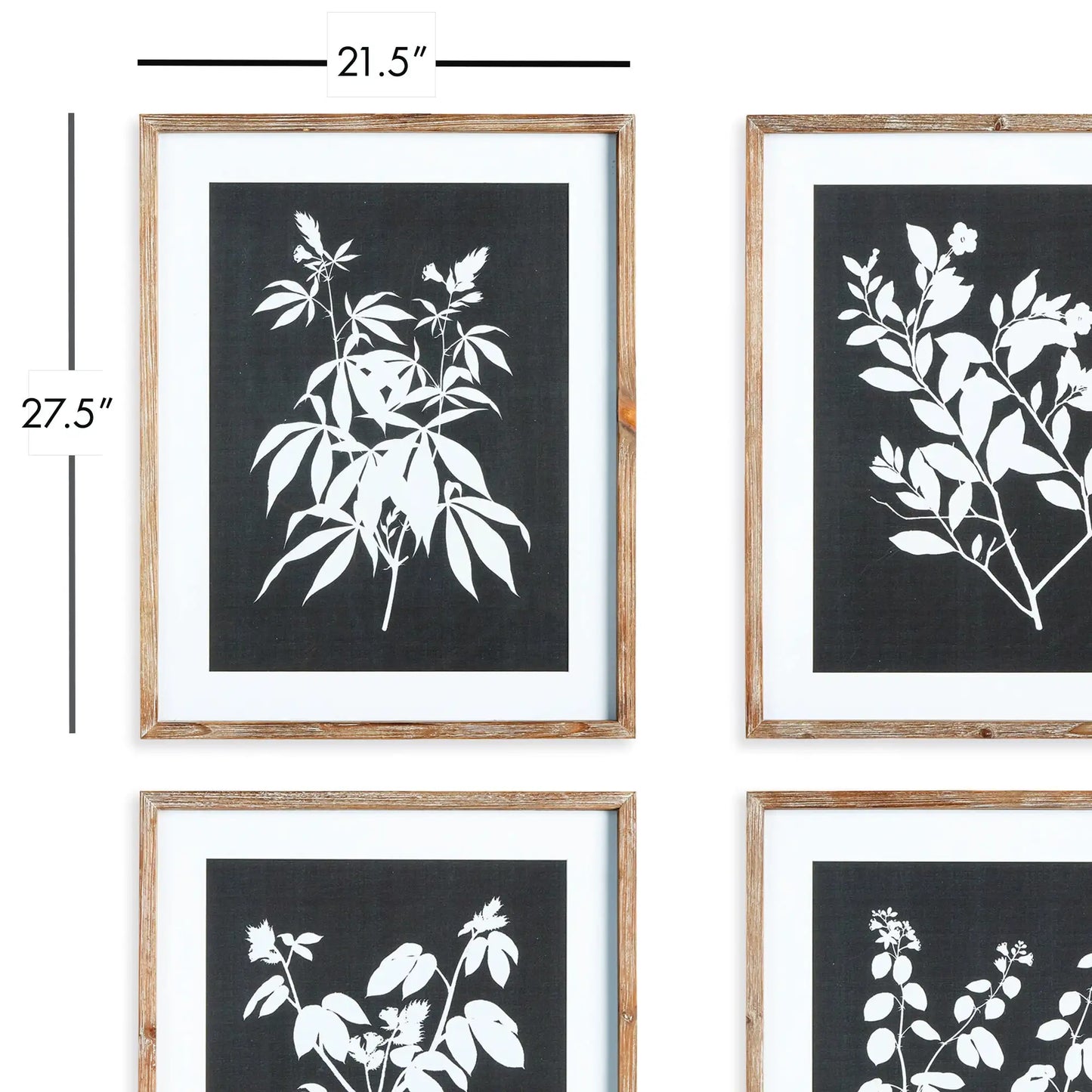 MONOCHROME BOTANICAL PRINTS, SET OF 4 - view 2