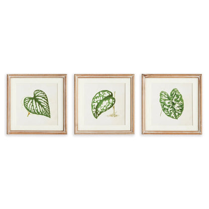 LEAF CUTTINGS PETITE PRINTS, SET OF 3
