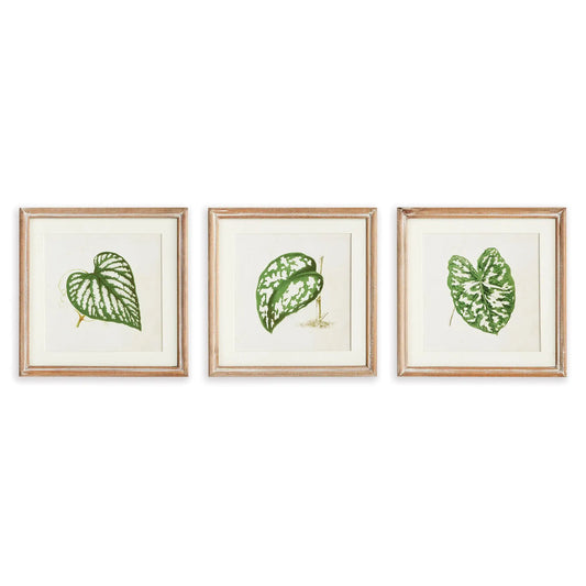 LEAF CUTTINGS PETITE PRINTS, SET OF 3