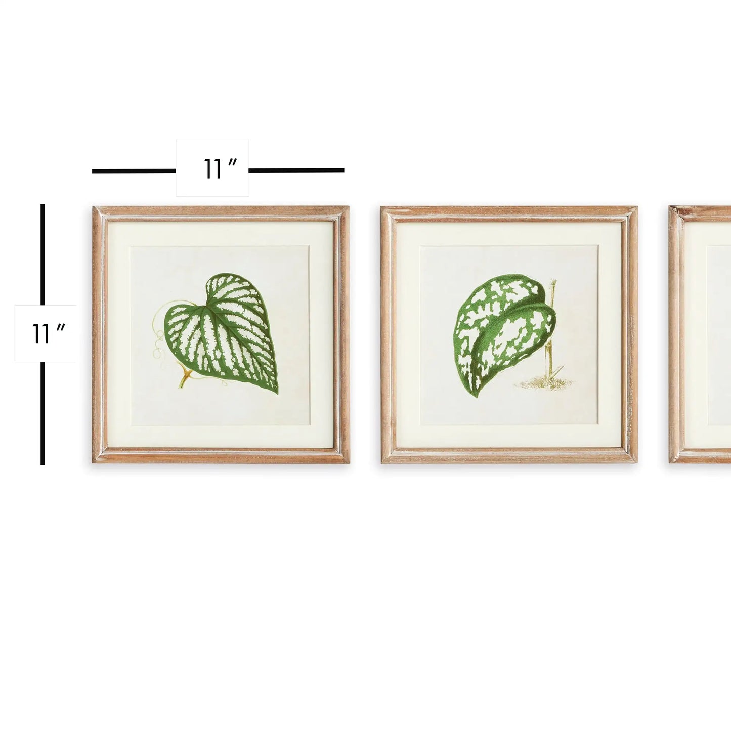 LEAF CUTTINGS PETITE PRINTS, SET OF 3 - view 2