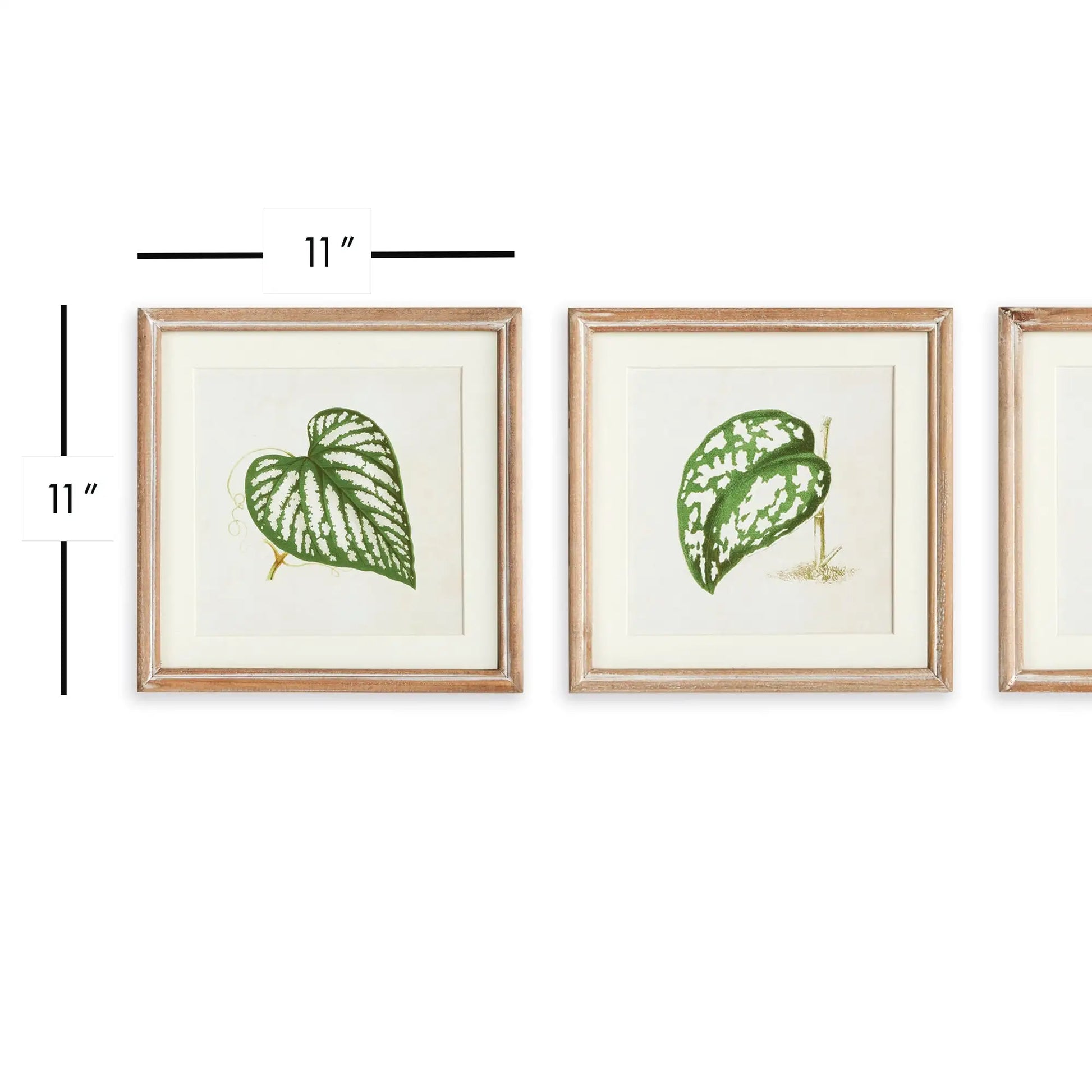 LEAF CUTTINGS PETITE PRINTS, SET OF 3 - view 2