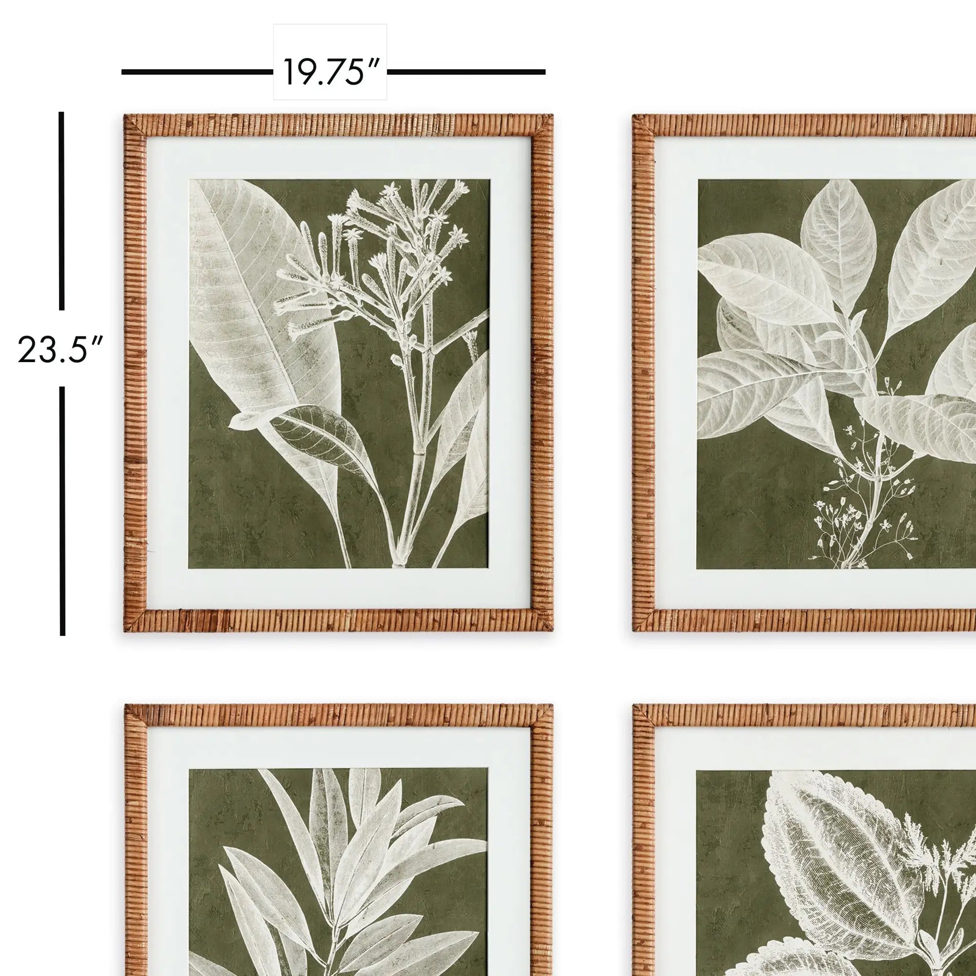 TRANSLUCENT STEM PRINTS, SET OF 4 - view 2