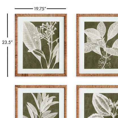 TRANSLUCENT STEM PRINTS, SET OF 4 - view 2